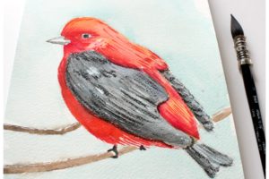oiseau rouge, aquarelle, dessin aquarelle, atelier créatif, technique aquarelle, atelier peinture